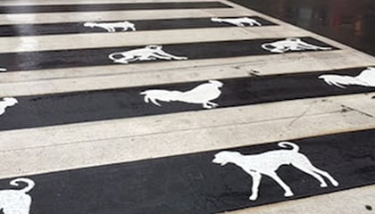 Barnes Dance Public Art Project